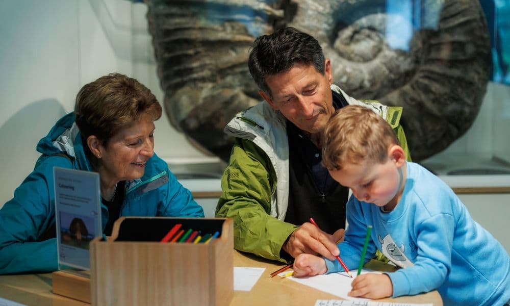 Museum of New Zealand Te Papa Tongarewa Ticket - image 3