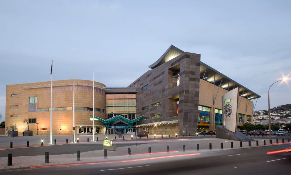 Museum of New Zealand Te Papa Tongarewa Ticket - image 4
